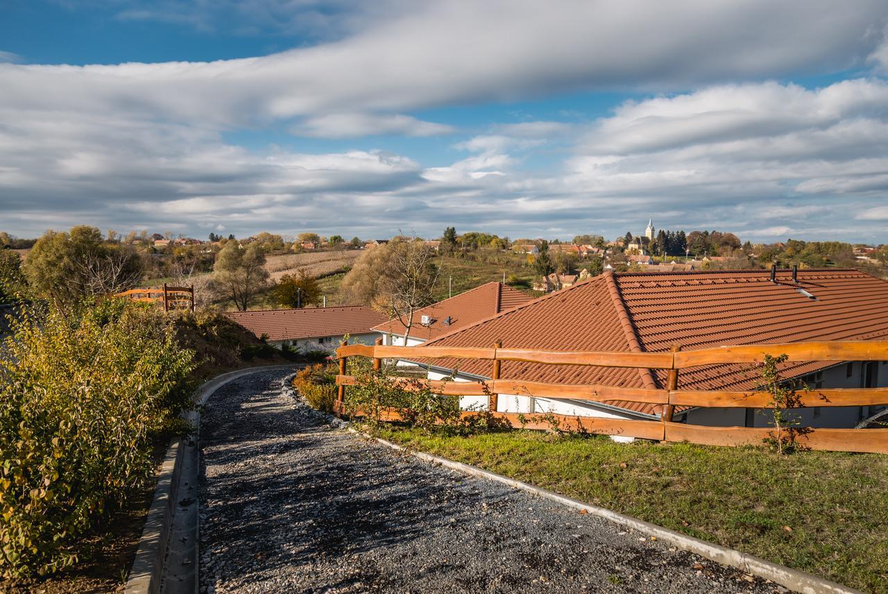 Somogyvámos Radhe Resort Es Syam Meditacios Es Rendezvenykozpont מראה חיצוני תמונה