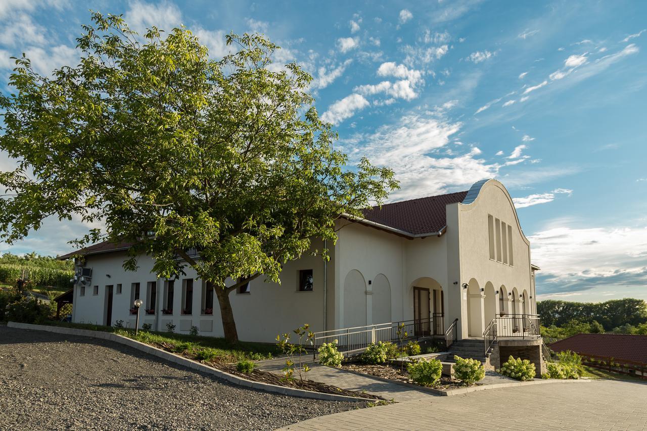 Somogyvámos Radhe Resort Es Syam Meditacios Es Rendezvenykozpont מראה חיצוני תמונה