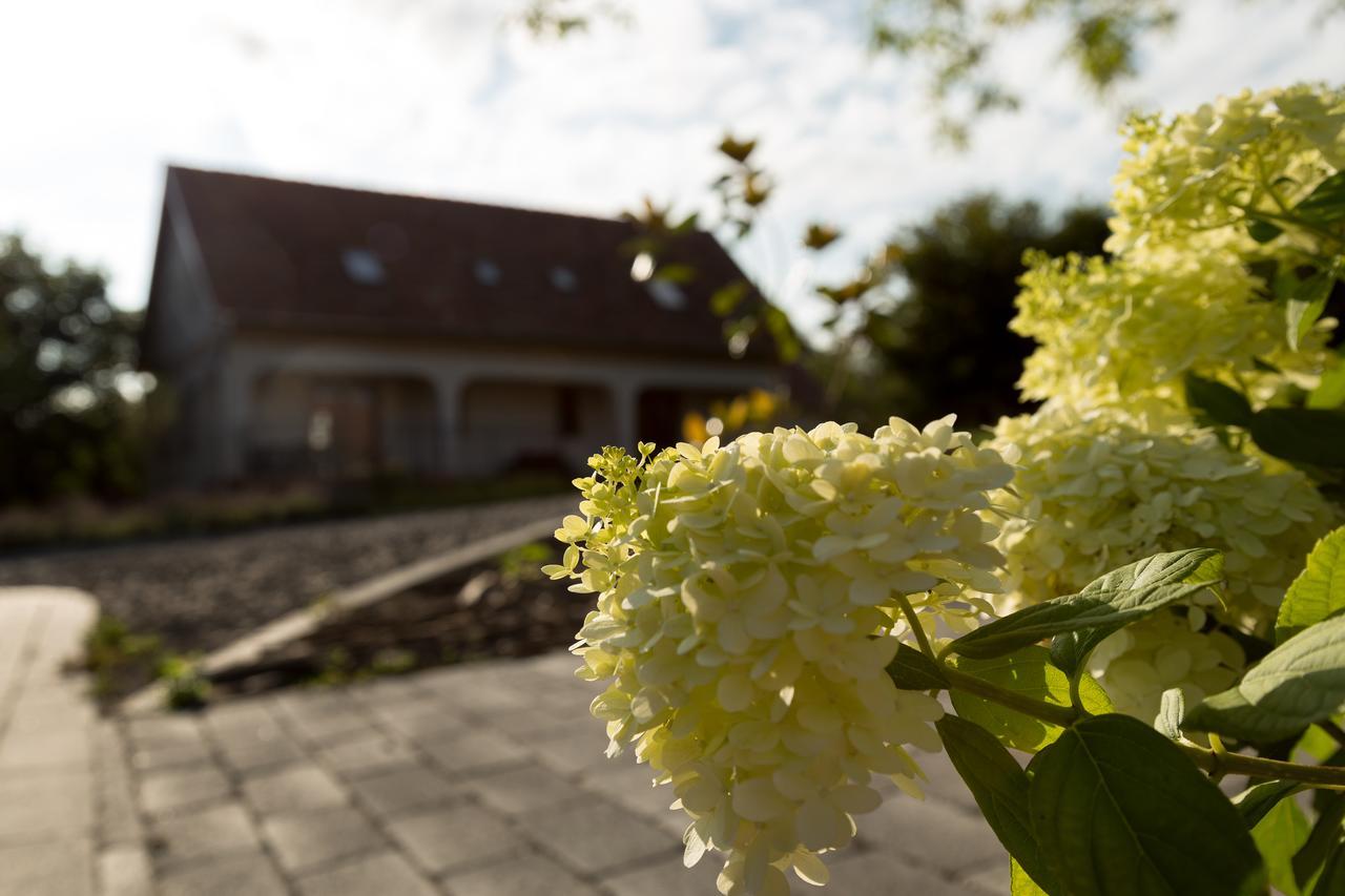 Somogyvámos Radhe Resort Es Syam Meditacios Es Rendezvenykozpont מראה חיצוני תמונה